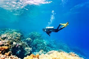 Diving Tours